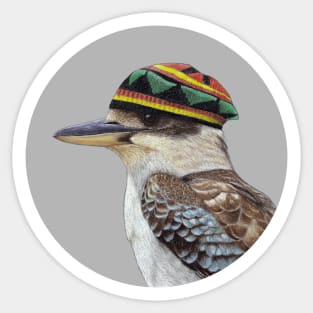 Laughing kookaburra Sticker